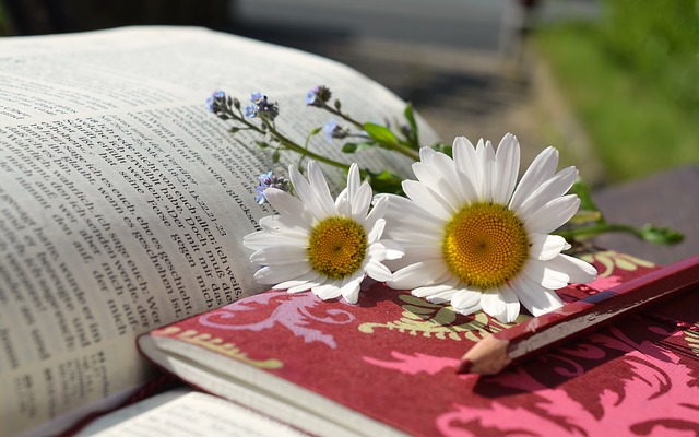open textbook with daisies